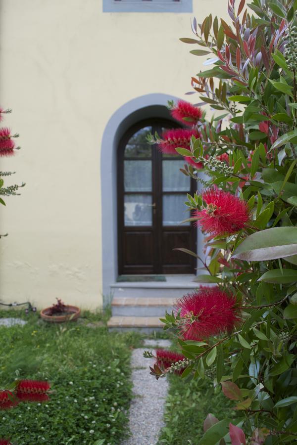 Residence Giuly Rosselmini Pieve di Santa Luce Esterno foto