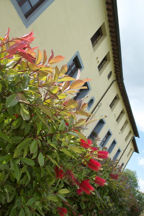 Residence Giuly Rosselmini Pieve di Santa Luce Esterno foto